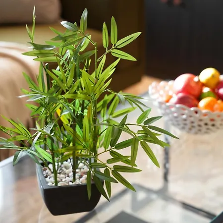 公寓 Kings 13 约克